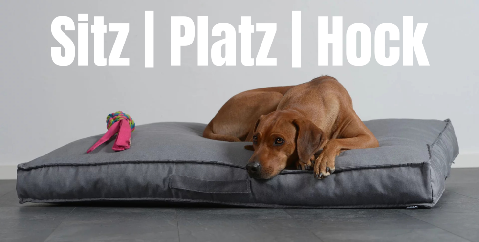 Gem&uuml;tliche Hundedecken, Hundebetten &amp;...