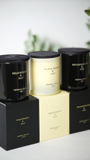 Cereria Mollá Mini Duftkerze Bergamotto Di Calabria