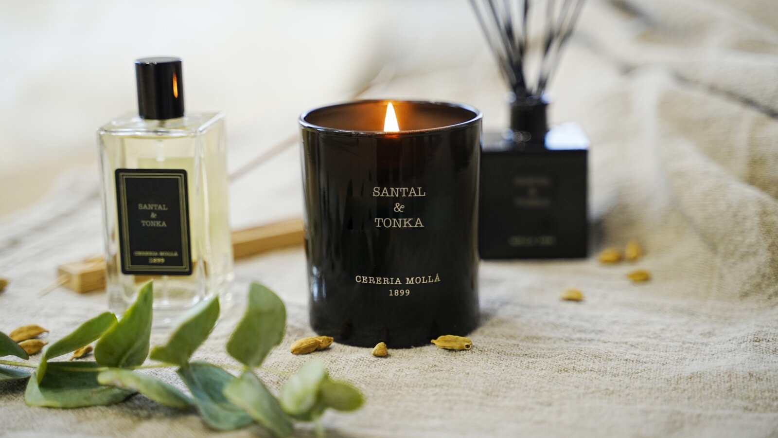 Cereria Mollá Premium Duftkerze 230g Verbena Di Sicilia