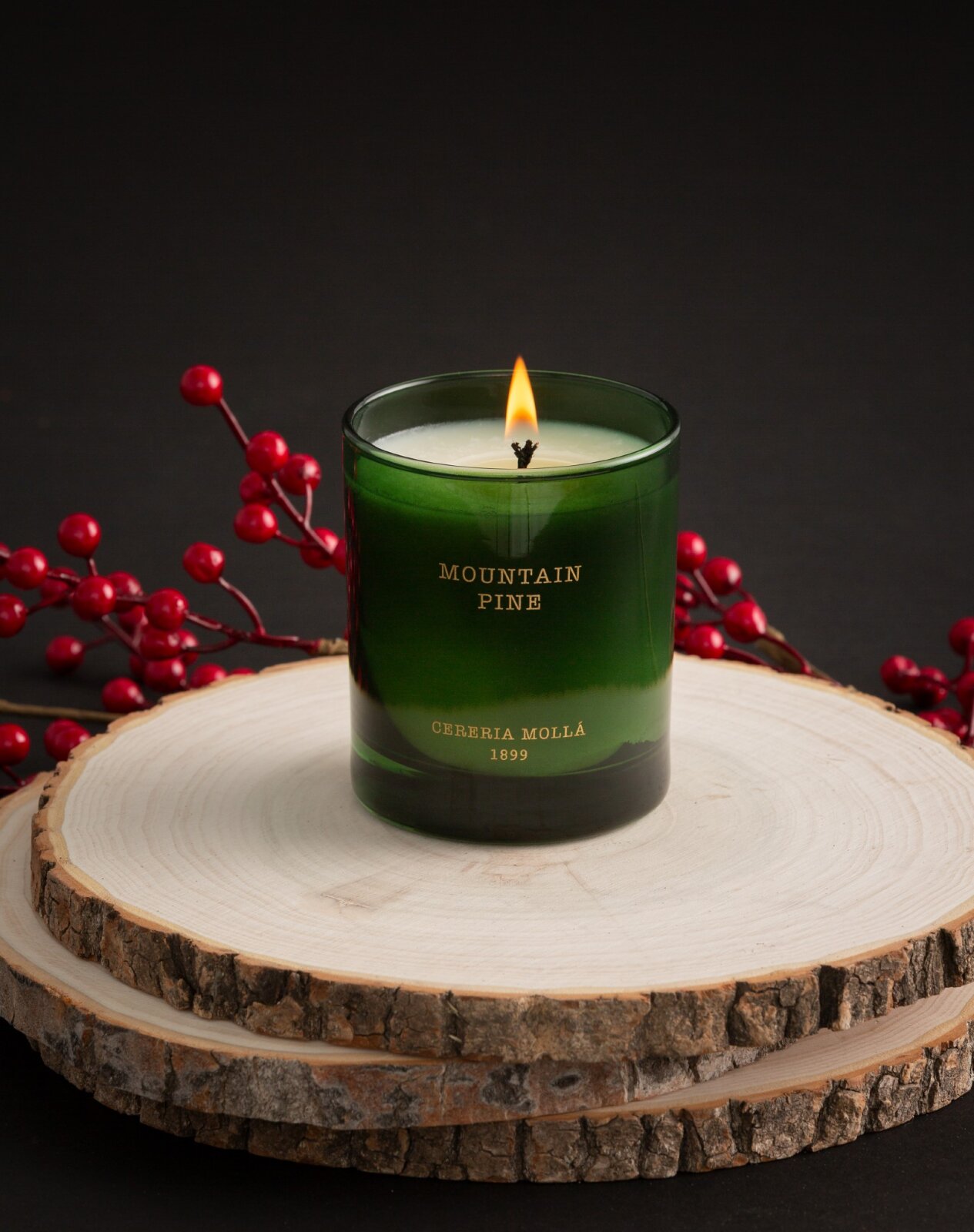 Cereria Mollá Premium Duftkerze 230g Mountain Pine dunkelgrün
