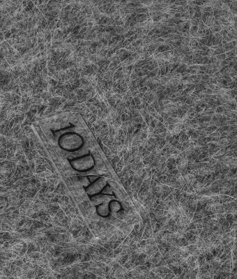 N.Y.A. | 10Days Flauschige Strickmütze dunkelgrau