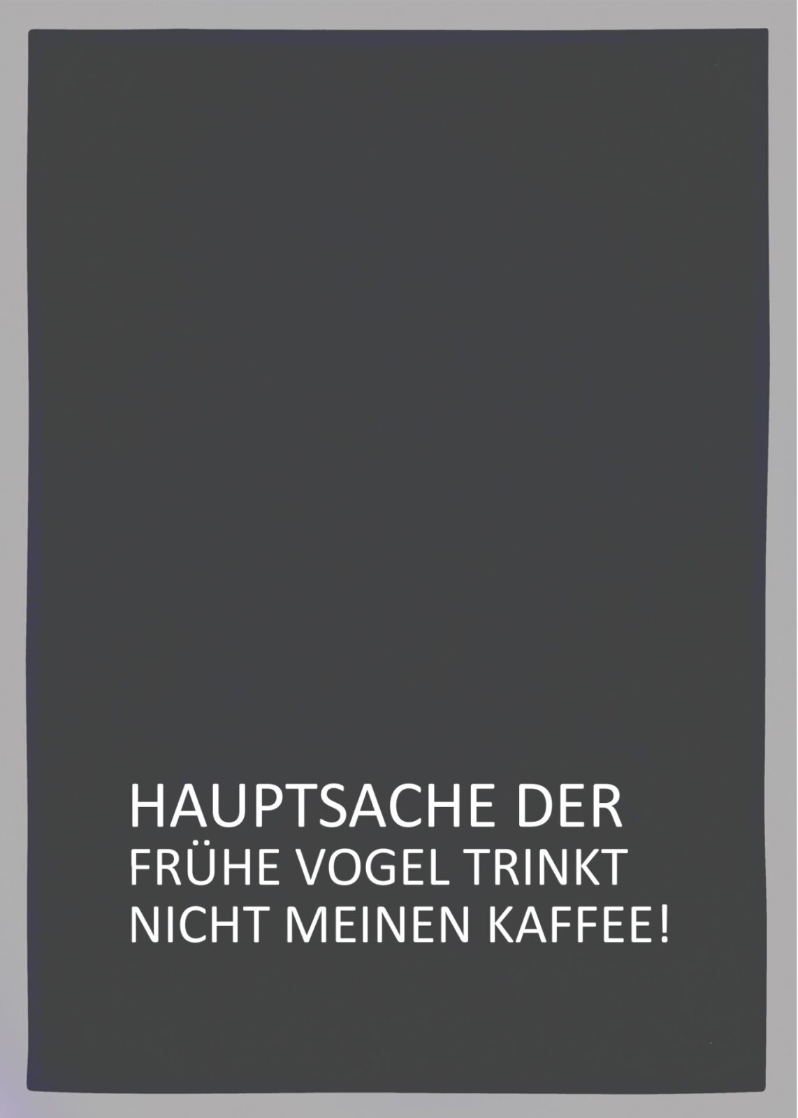17;30 Geschirrtuch "Der frühe Vogel" grau mit weiß