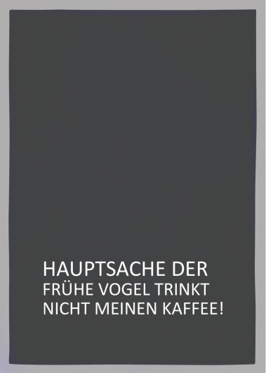 17;30 Geschirrtuch "Der frühe Vogel" grau mit weiß