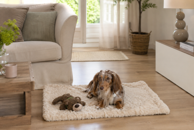 H.O.C.K. Hundedecke FRITZ S ca. 80x70cm mit Neonband - Beige Taupe Leomuster | Ecru Teddyplüsch