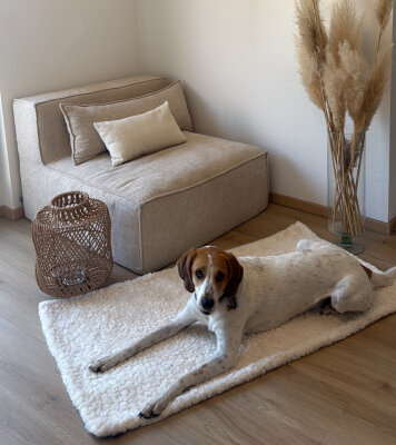 H.O.C.K. Hundedecke FRITZ M ca. 140x80cm mit Neonband - Beige Taupe Leomuster | Ecru Teddyplüsch