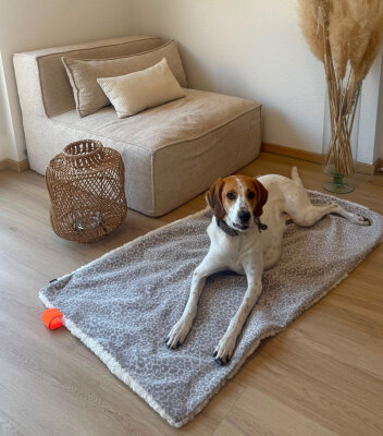 H.O.C.K. Hundedecke FRITZ M ca. 140x80cm mit Neonband - Beige Taupe Leomuster | Ecru Teddyplüsch
