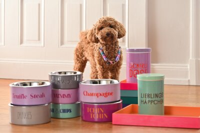 GIFTY Leckerlidose für Hund "Woof Woof Bakery" | Blau ca. 13x20x13cm