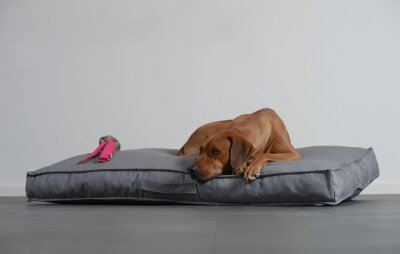 H.O.C.K. Hundekissen Freddy Gr. L 120x90x12cm Caribe blau marino