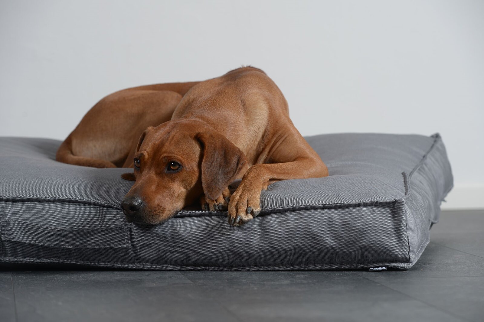 H.O.C.K. Hundekissen Freddy Gr. L 120x90x12cm Caribe hell-grau
