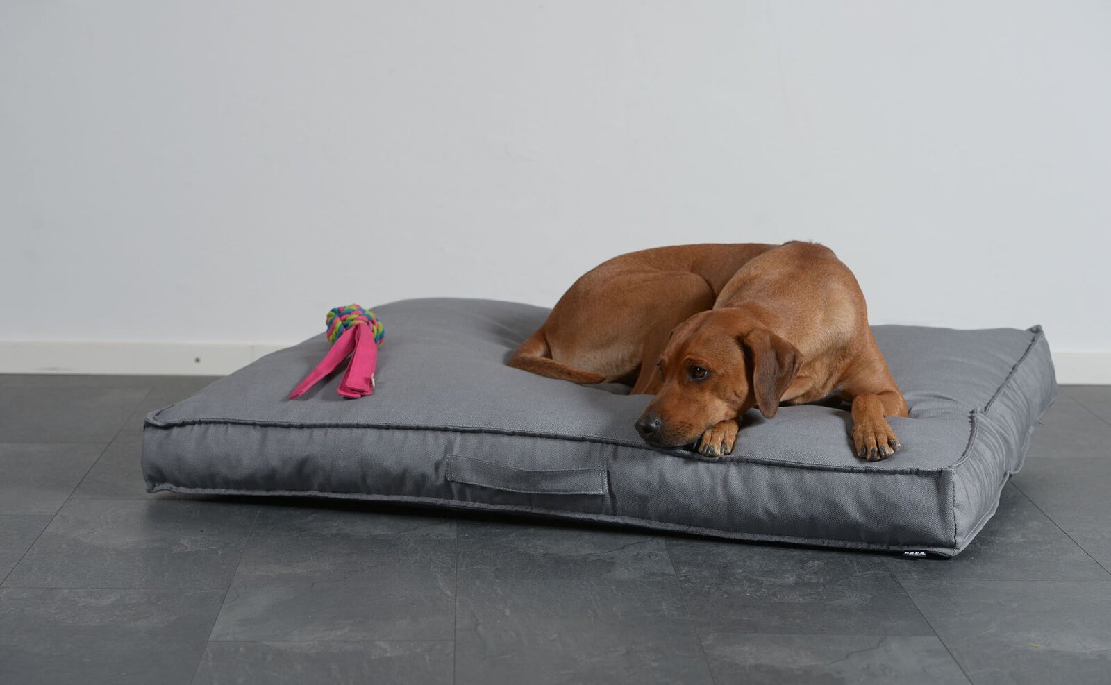 H.O.C.K. Hundekissen Freddy Gr. L 120x90x12cm Caribe hell-grau
