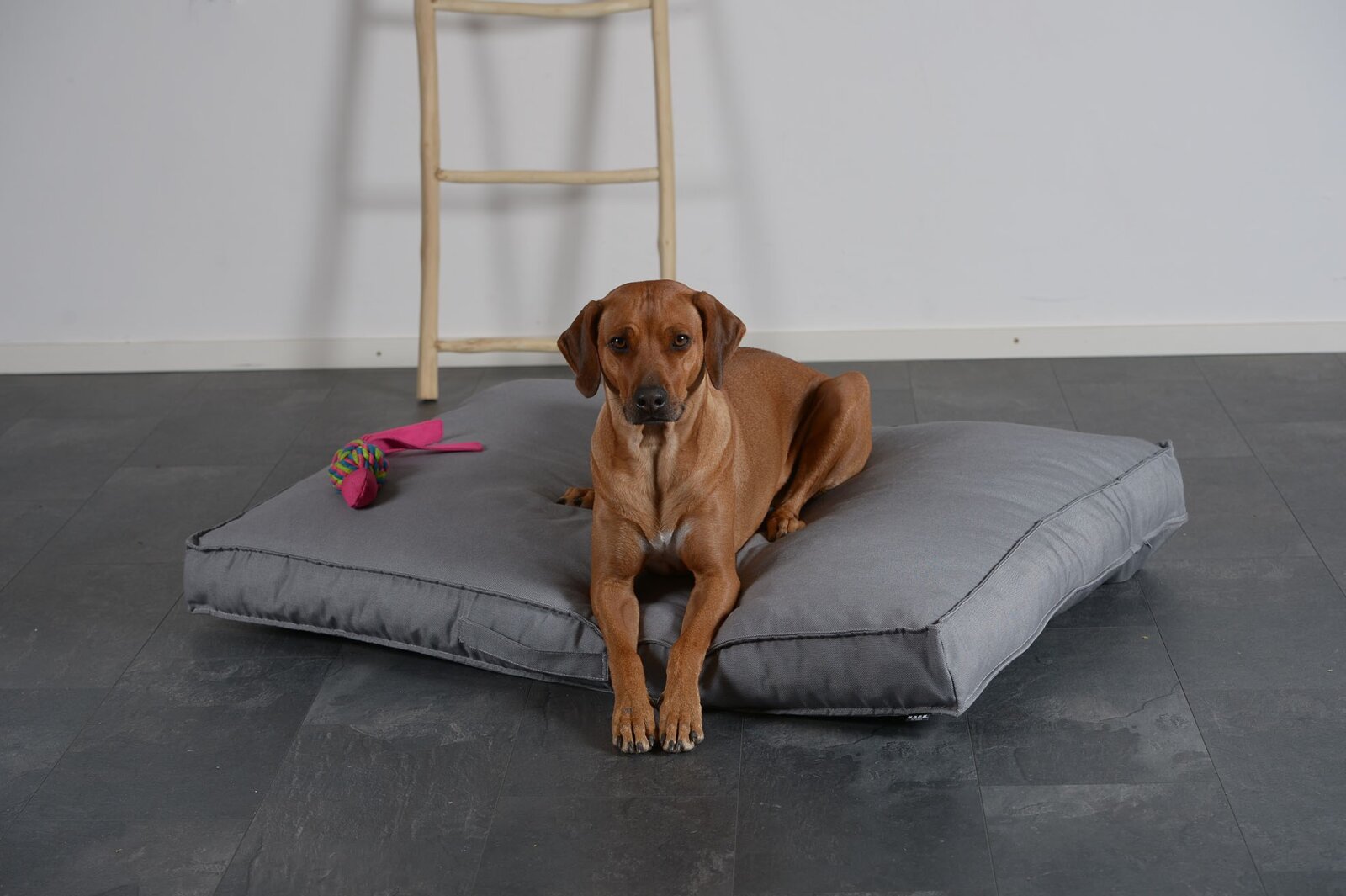 H.O.C.K. Hundekissen Freddy Gr. L 120x90x12cm Caribe hell-grau
