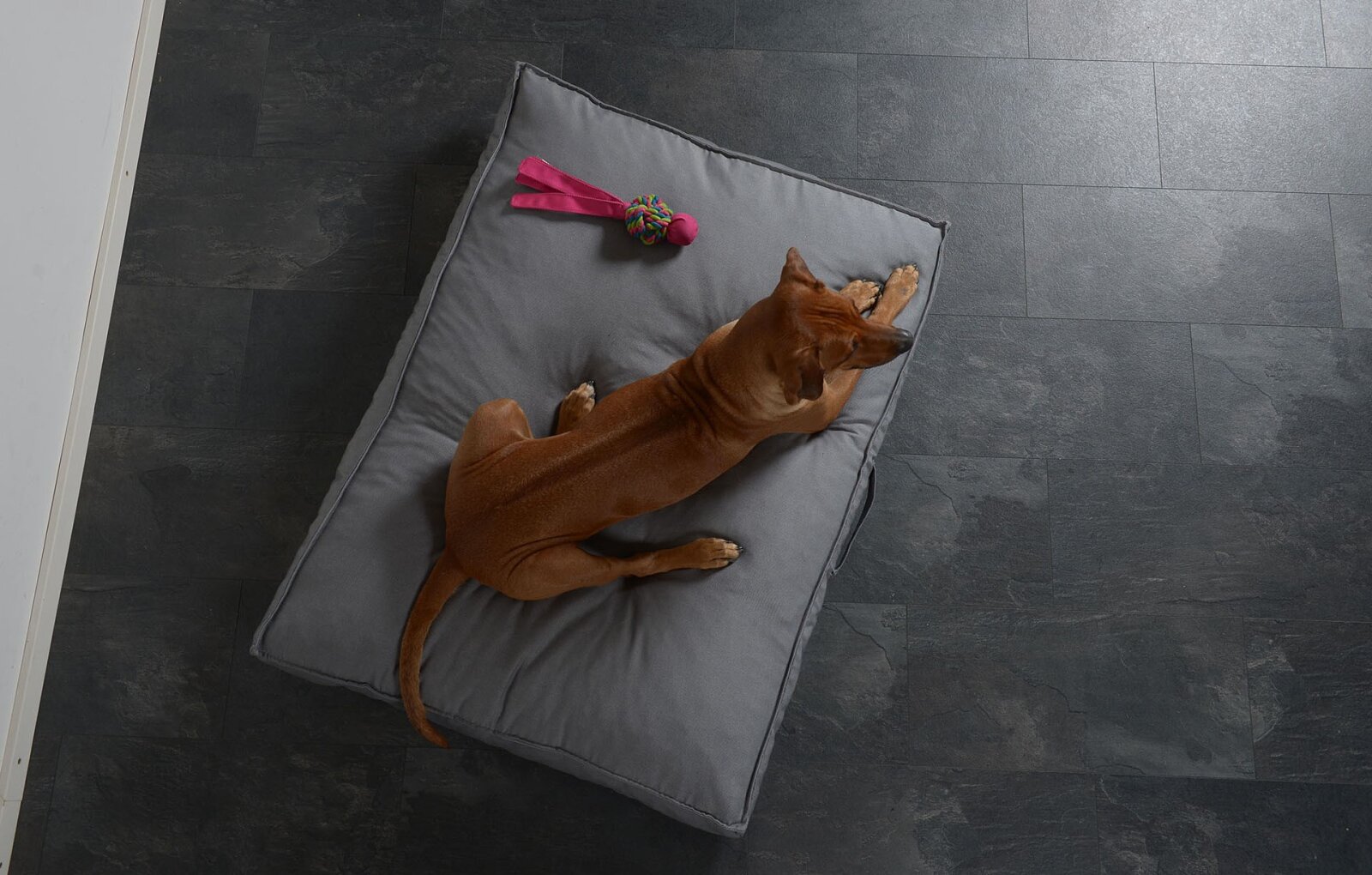 H.O.C.K. Hundekissen Freddy Gr. L 120x90x12cm Caribe hell-grau