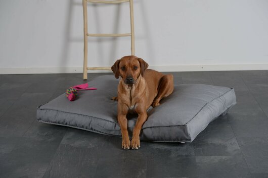 H.O.C.K. Hundekissen Freddy Gr. L 120x90x12cm Caribe  hell-grau