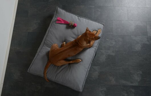 H.O.C.K. Hundekissen Freddy Gr. L 120x90x12cm Caribe  hell-grau
