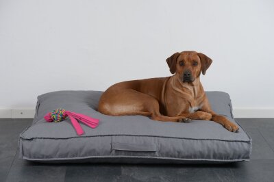 H.O.C.K. Hundekissen Freddy Gr. L 120x90x12cm Caribe hell-grau