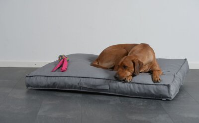 H.O.C.K. Hundekissen Freddy Gr. L 120x90x12cm Caribe hell-grau