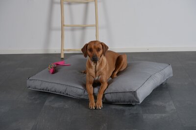 H.O.C.K. Hundekissen Freddy Gr. L 120x90x12cm Caribe hell-grau