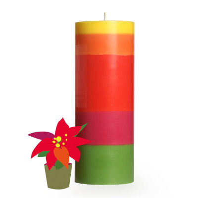 NTG Stumpenkerze "Weihnachtsstern" rot,...