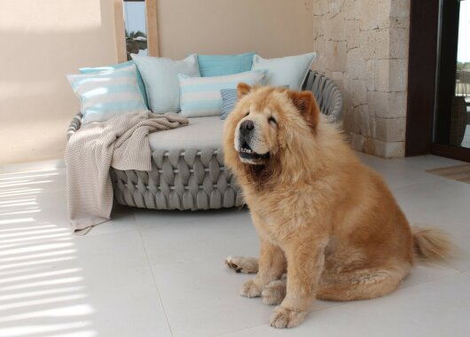 H.O.C.K. Turo Outdoor + Indoor Kissen 65x40cm mit Biese col. 8 beige türkis Blockstreifen in&out