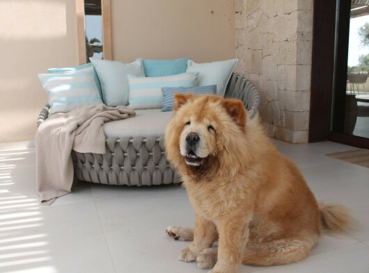 H.O.C.K. Turo Outdoor + Indoor Kissen 45x45cm mit Biese col. 8 beige türkis Blockstreifen in&out