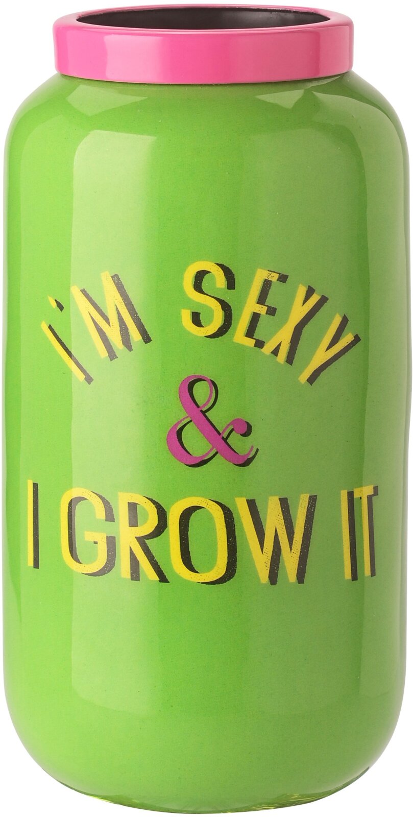 GIFTY kleine XXS Vase grün mit Metallring pink | I´m sexy & I grow it ca. 6x12x6cm
