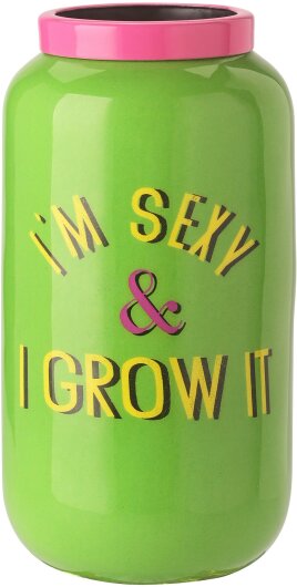 GIFTY kleine XXS Vase grün mit Metallring pink | I´m sexy & I grow it ca. 6x12x6cm